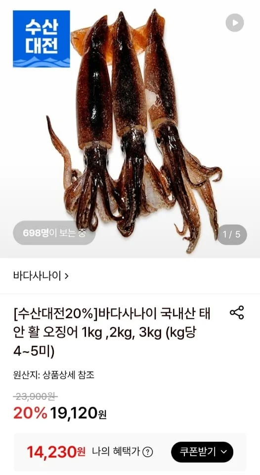 태안 활 오징어 1kg 4~5미