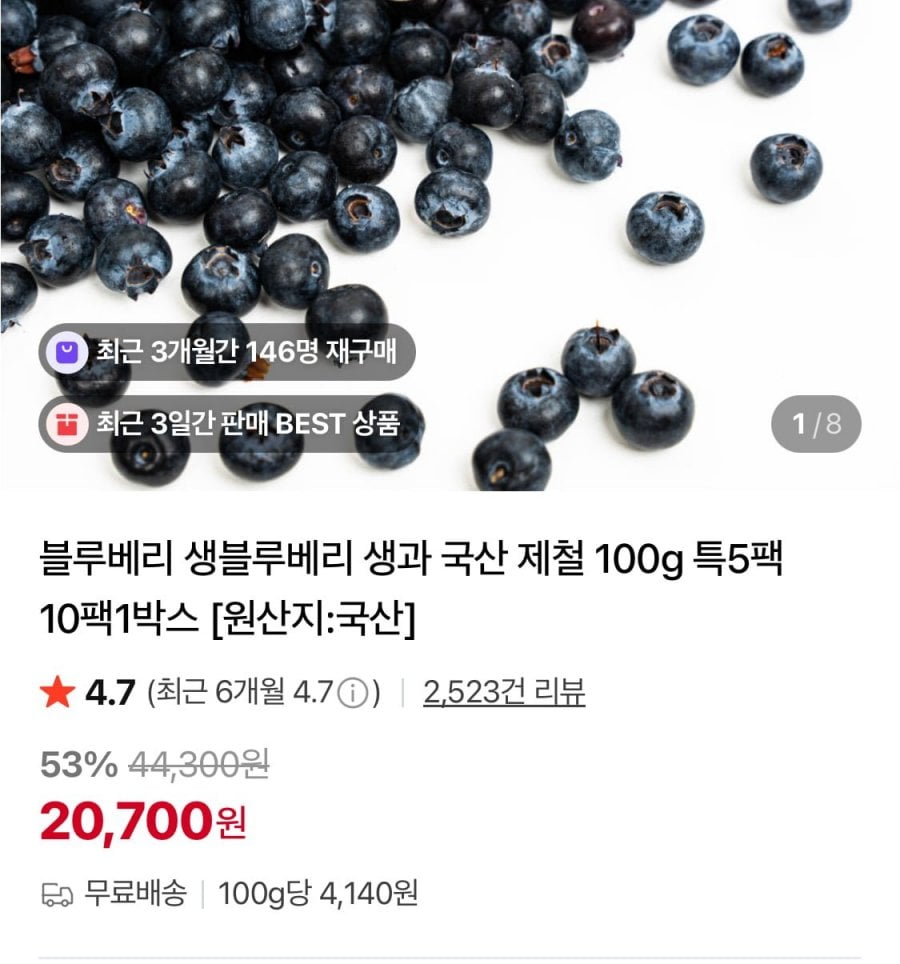 국산 생 블루베리 특 100g 5팩