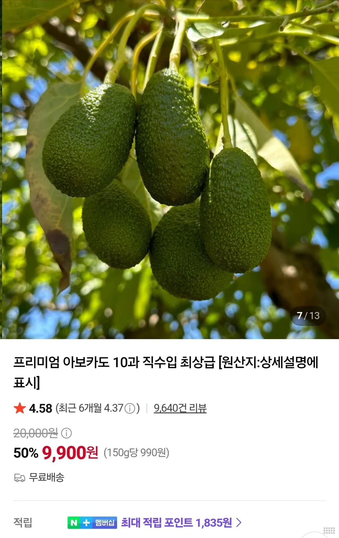 프리미엄 아보카도 10과 직수입