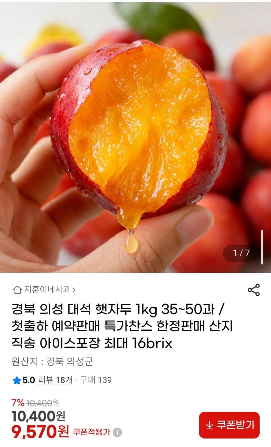 경북 의성 대석 햇자두 1kg 35~50과