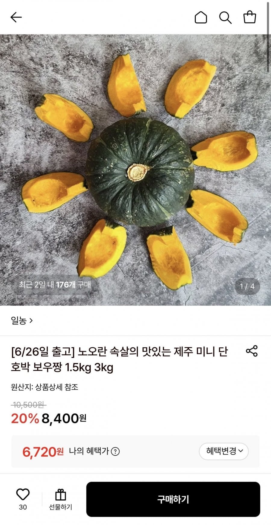 제주 미니 단호박 보우짱 1.5kg