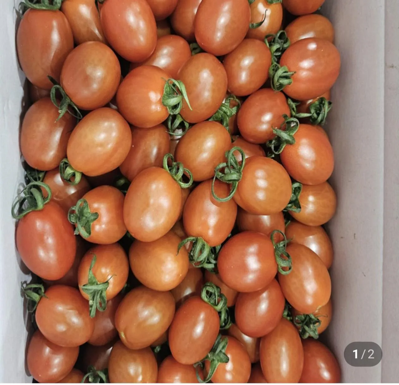 대추 방울토마토 2kg