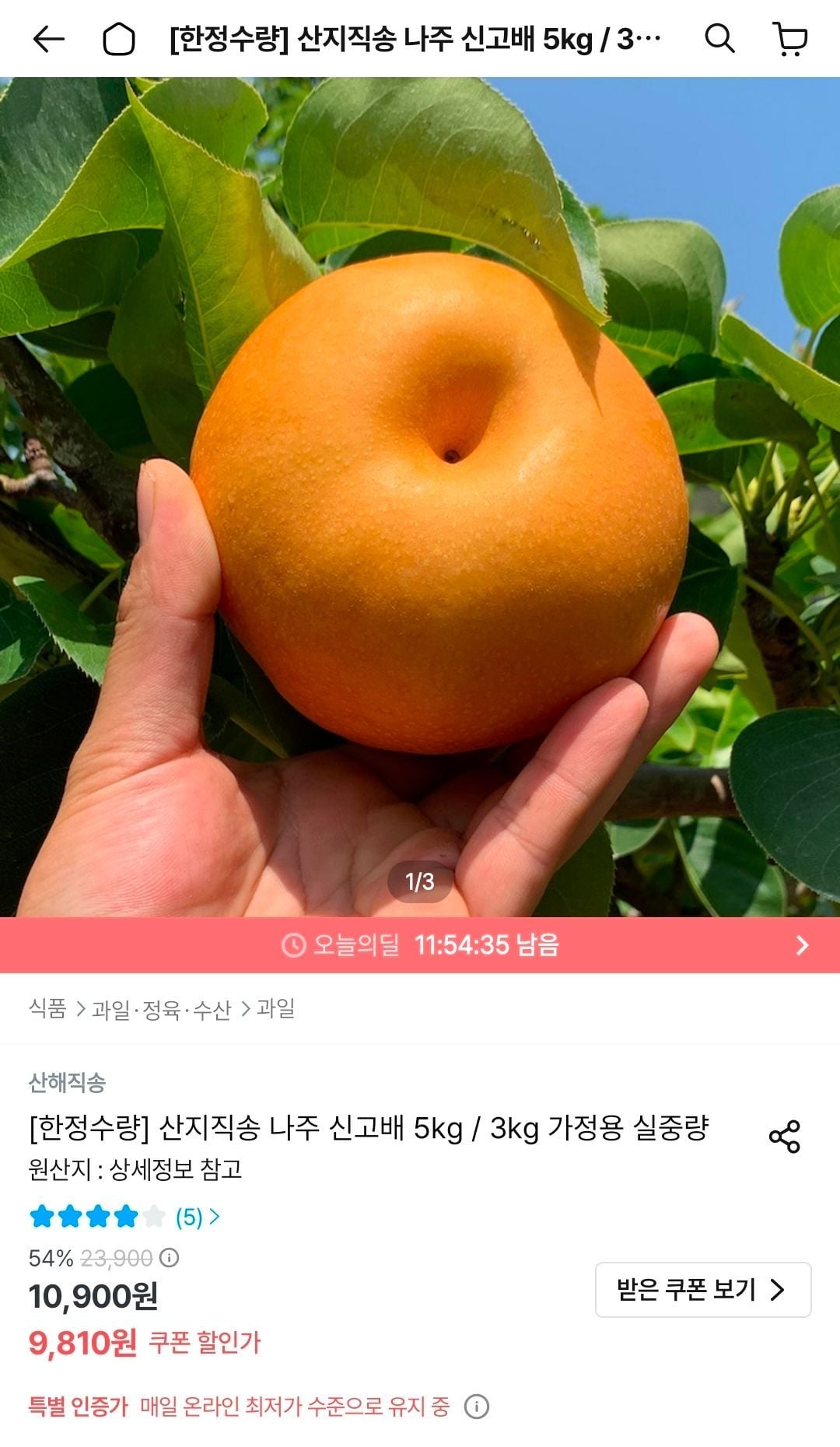 나주 신고배 3kg 가정용