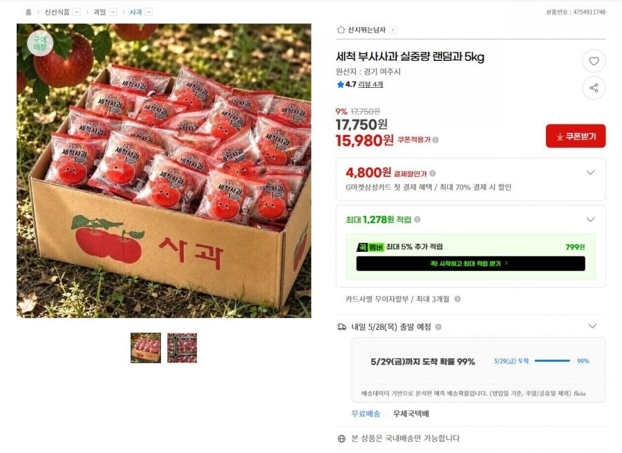 세척사과 랜덤과 5kg