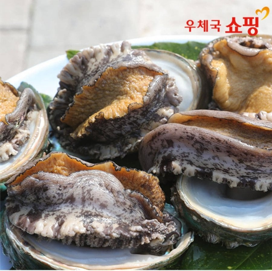 완도 특대활전복 1kg (9-11미)