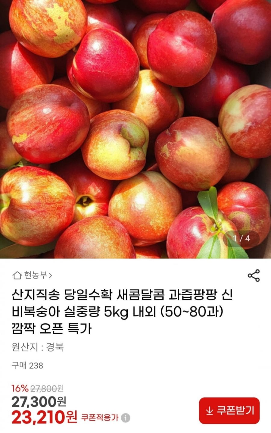산지직송 당일수확 신비복숭아 실중량 5kg 내외 (50~80과)