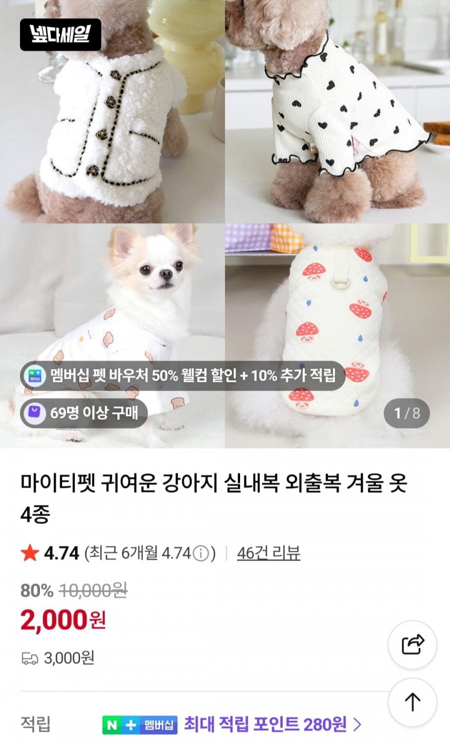강아지 실내복 외출복 전시즌 옷 균일가