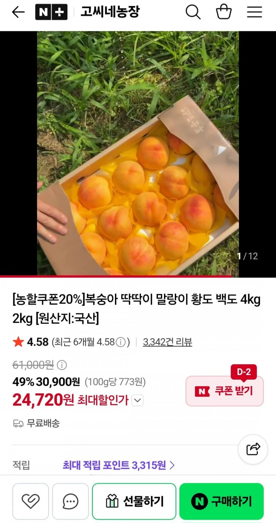 백도 딱딱이 복숭아 4kg 12~14과 대과