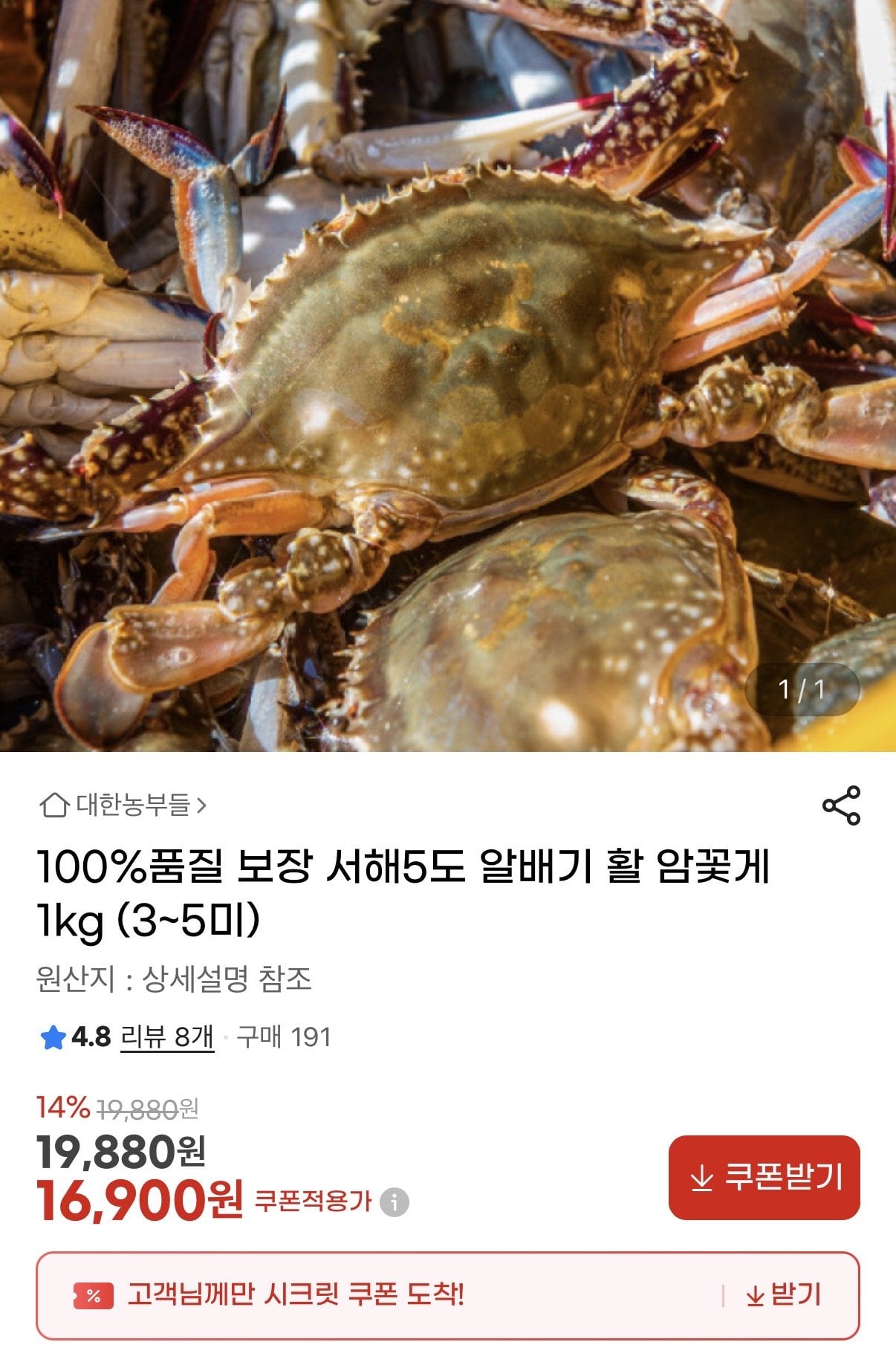 서해5도 알배기 활 암꽃게 1kg (3~5미)