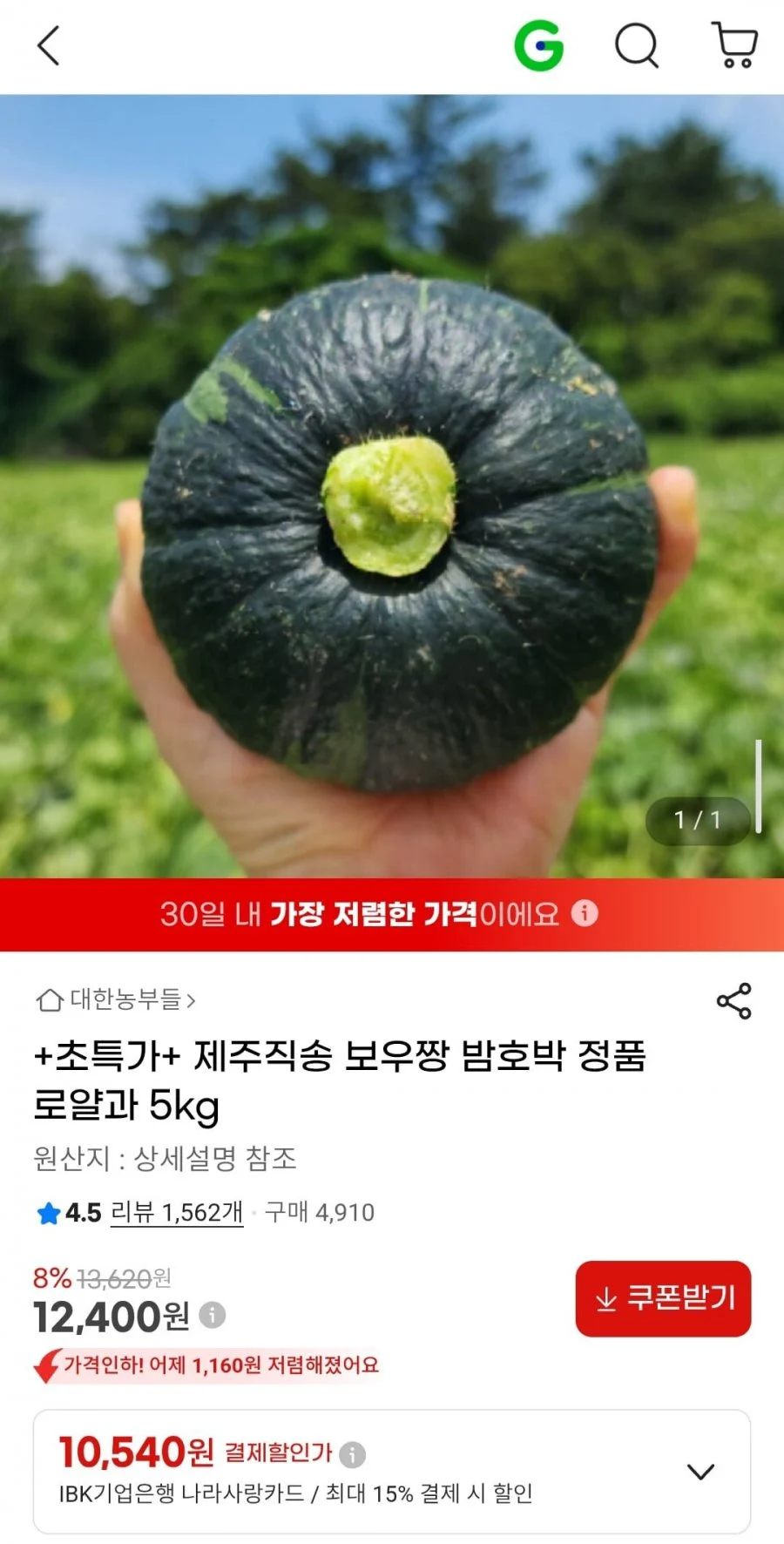 제주직송 보우짱 밤호박 정품 로얄과 5kg