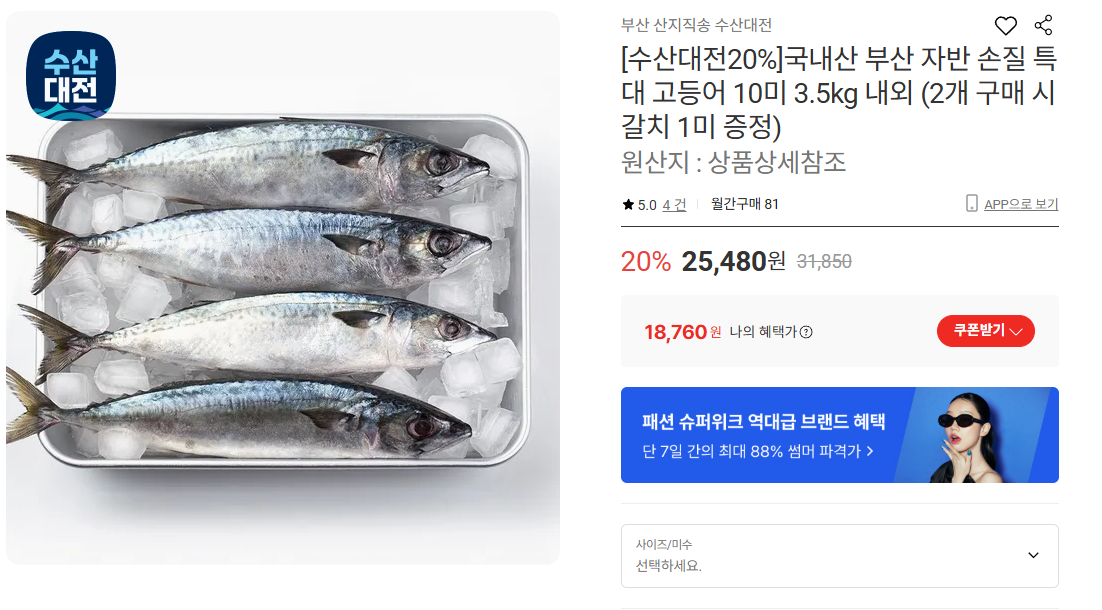 내산 부산 자반 손질 특대 고등어 10미 3.5kg 내외