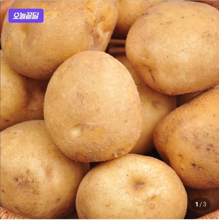 햇감자 포슬포슬 감자 제철 국내산 3kg