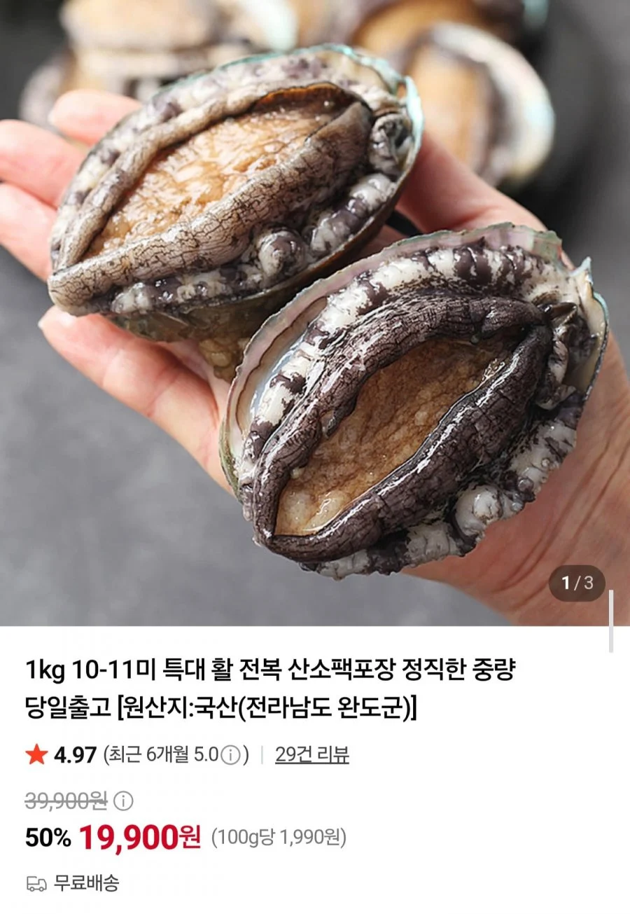 국내산 활 전복 10~11미 1kg