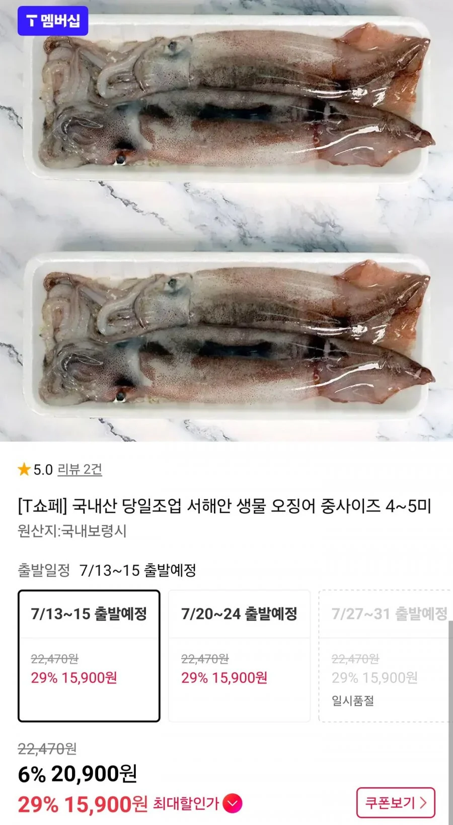 국내산 생물 오징어 중사이즈 4~5미
