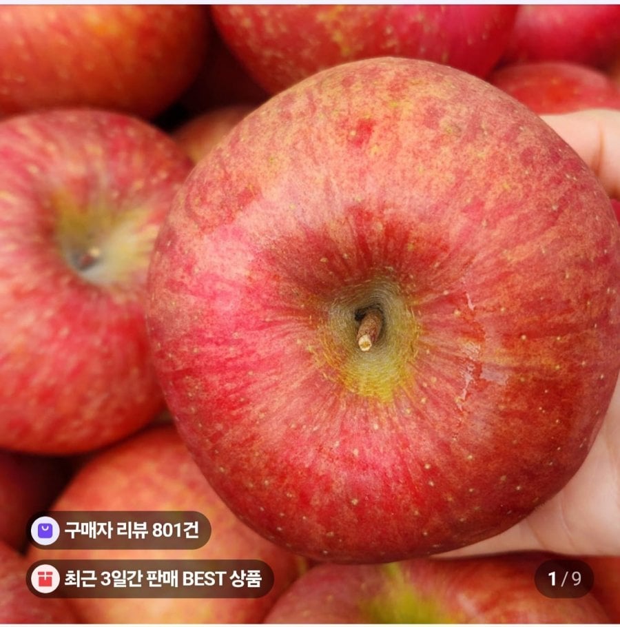 부사사과 10kg 쥬스용