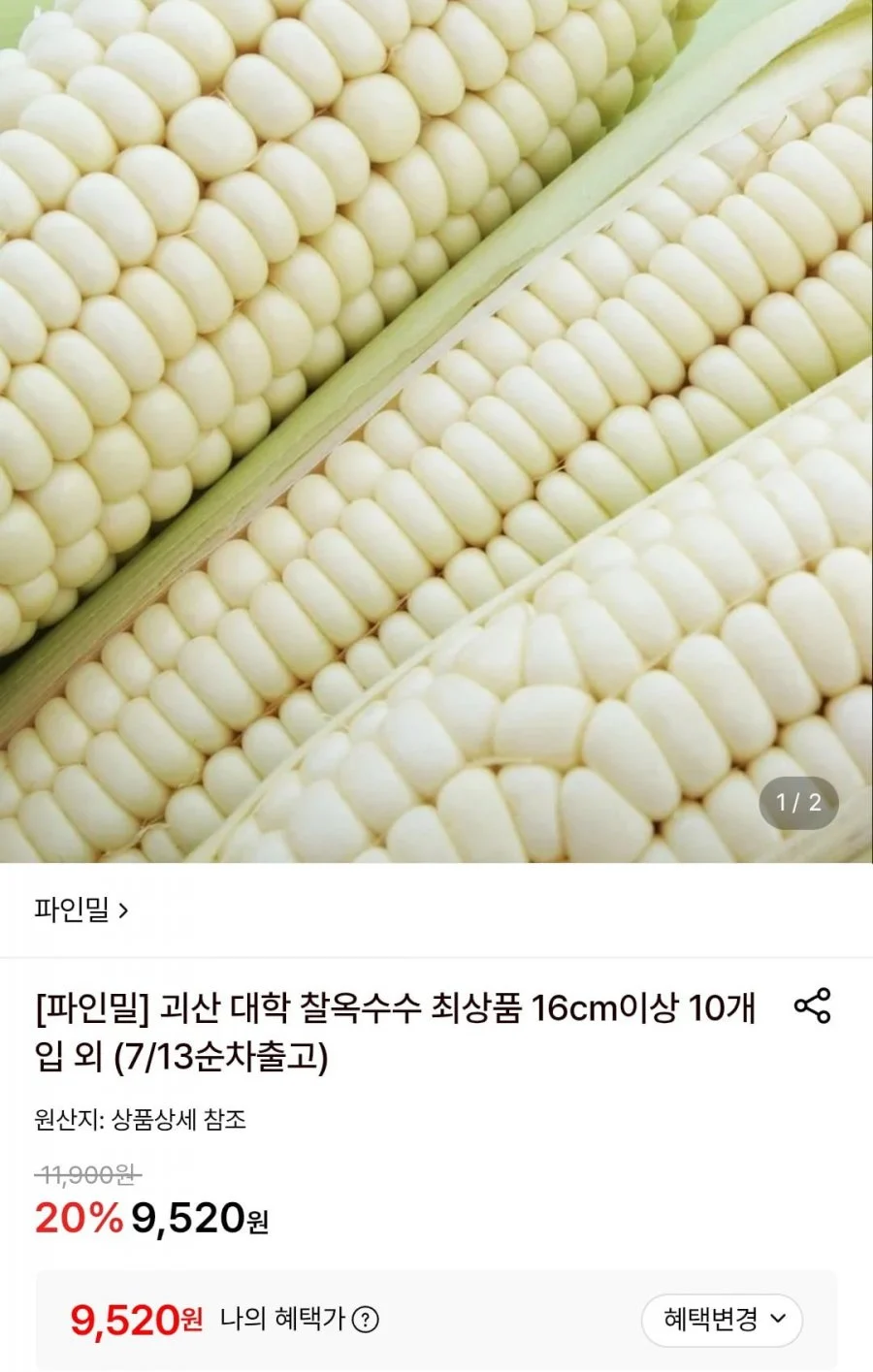 괴산 대학 찰옥수수 16cm이상 8개입