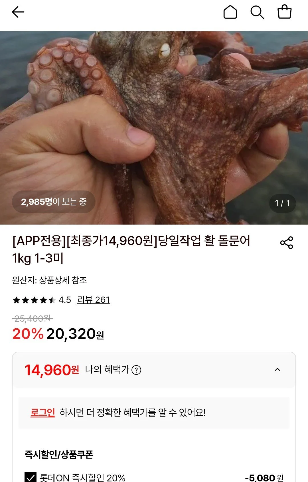 당일작업 활 돌문어 1kg 1-3미