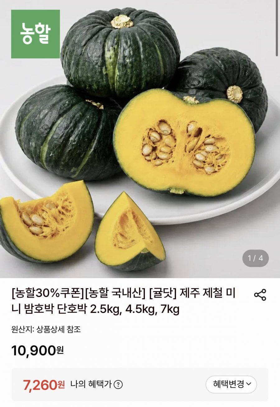 제주 제철 미니 밤호박 단호박 2.5kg