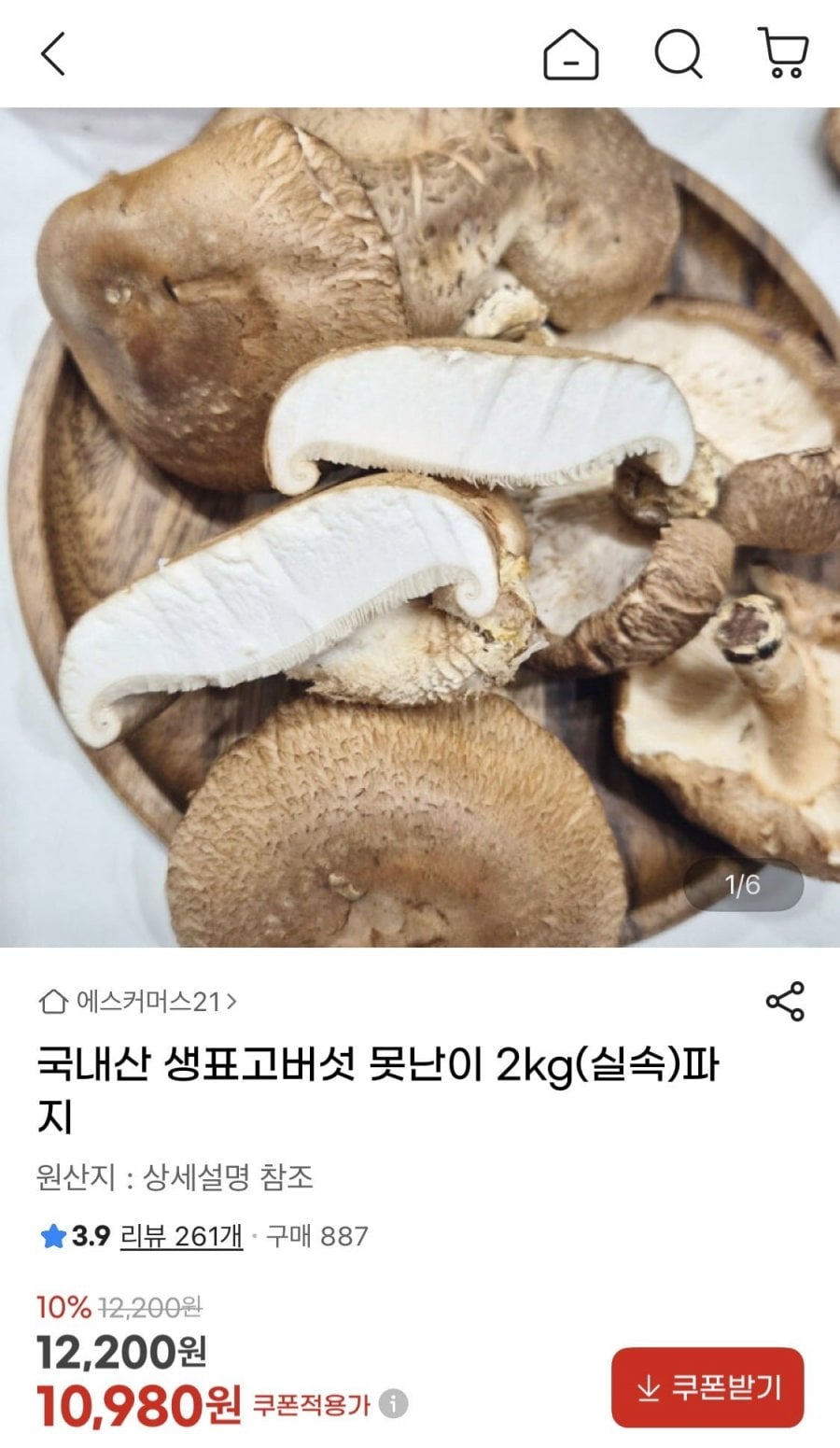 못난이 생표고버섯 2kg