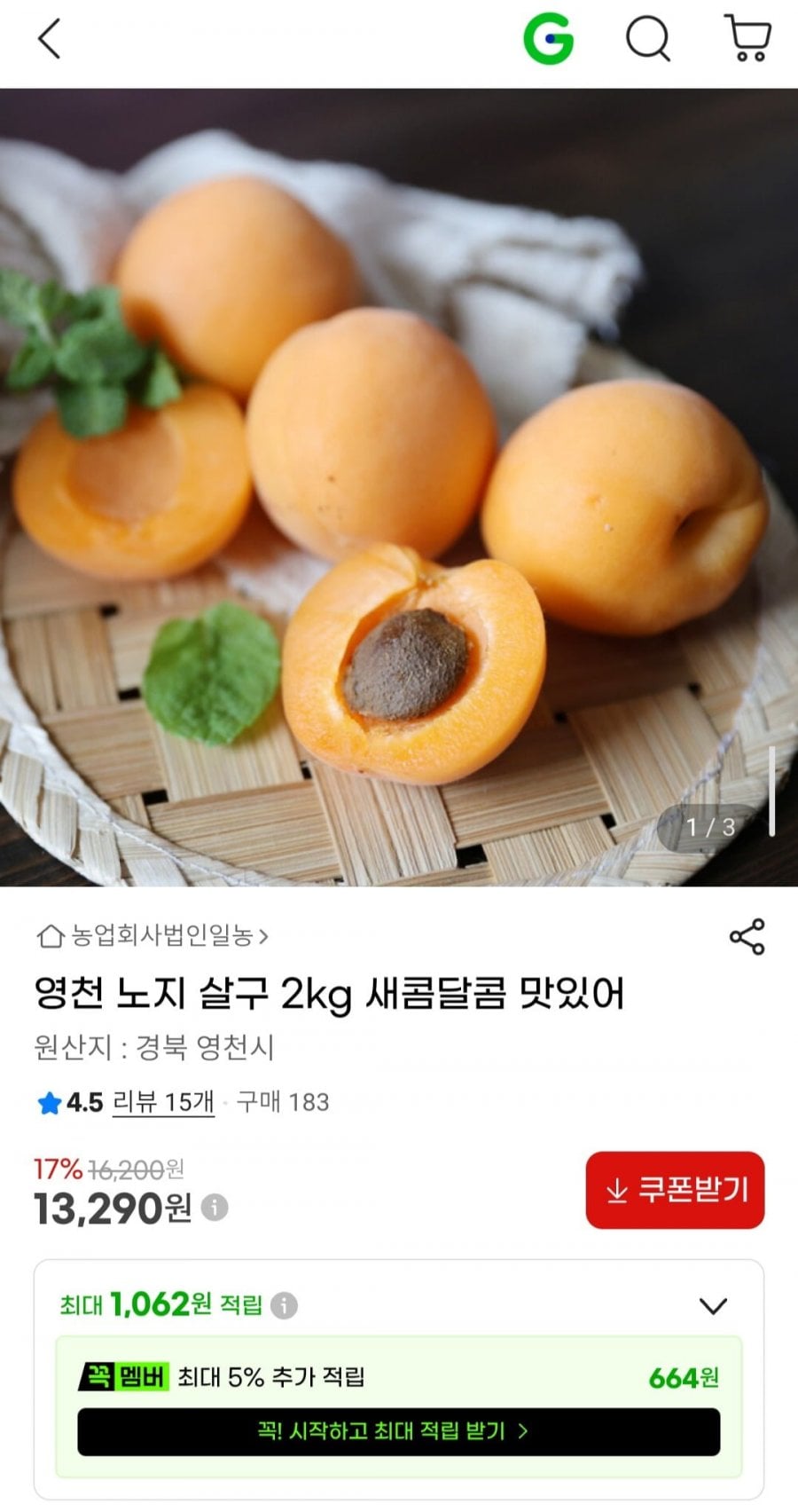영천 노지 살구 2kg