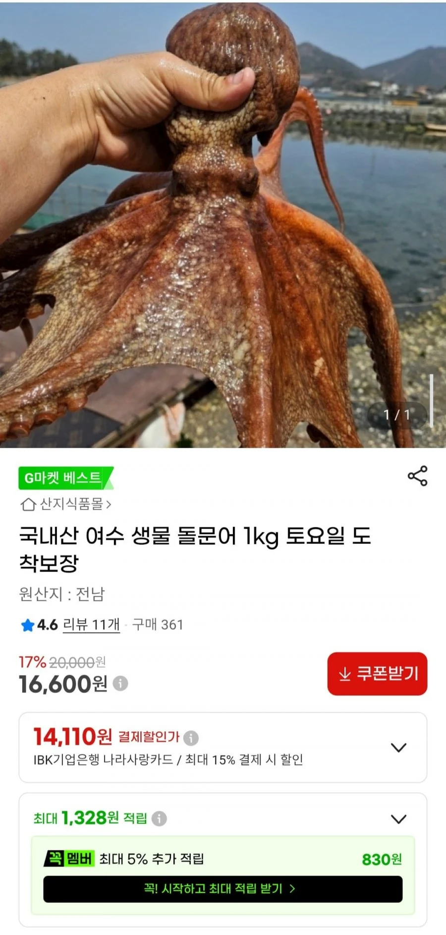 국내산 여수 생물 돌문어 1kg