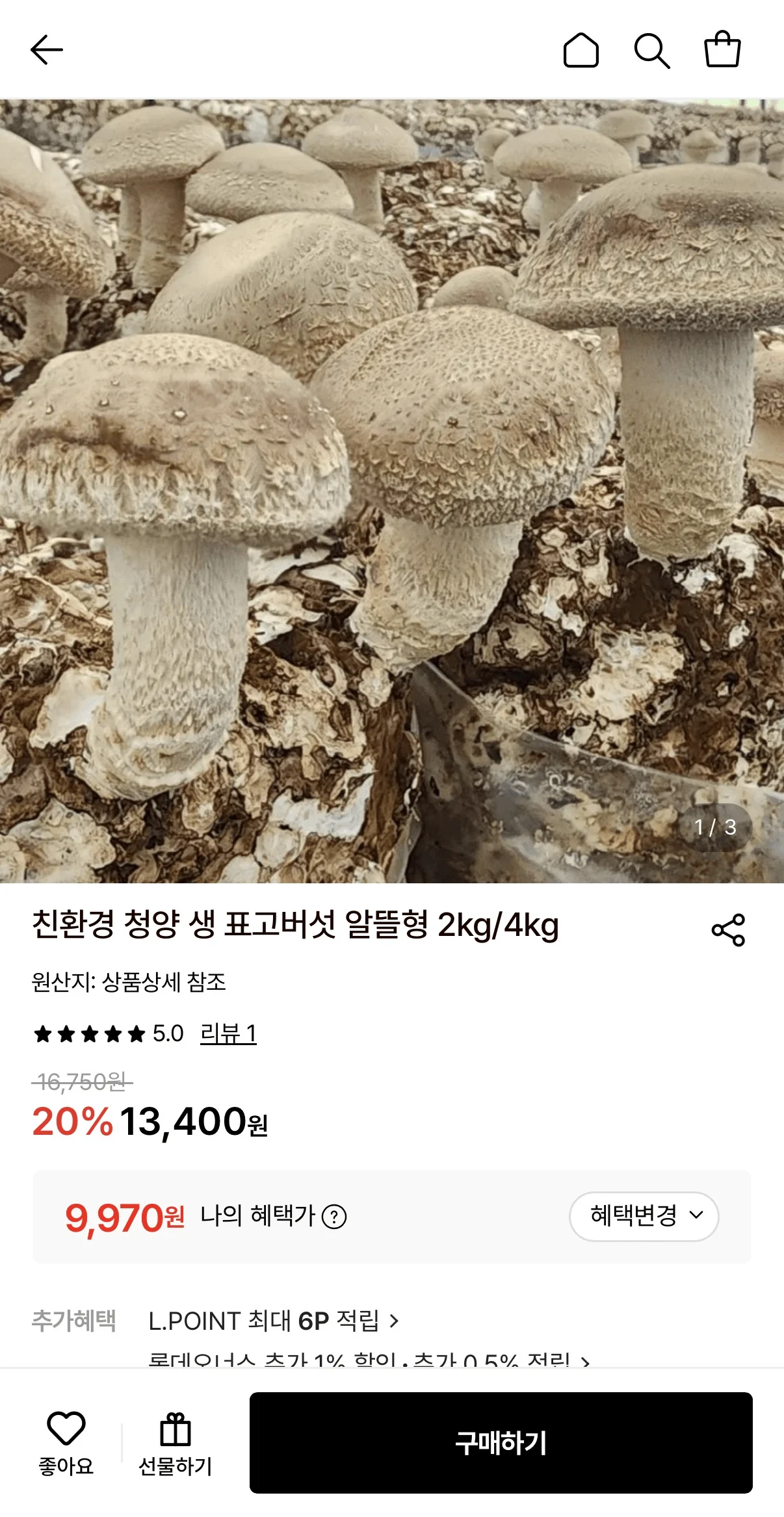 친환경 청양 생 표고버섯 알뜰형 2KG