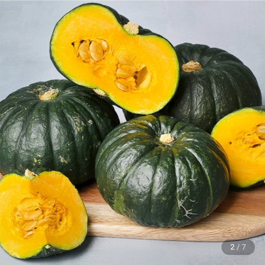 제주 미니단호박 보우짱 2kg 특품