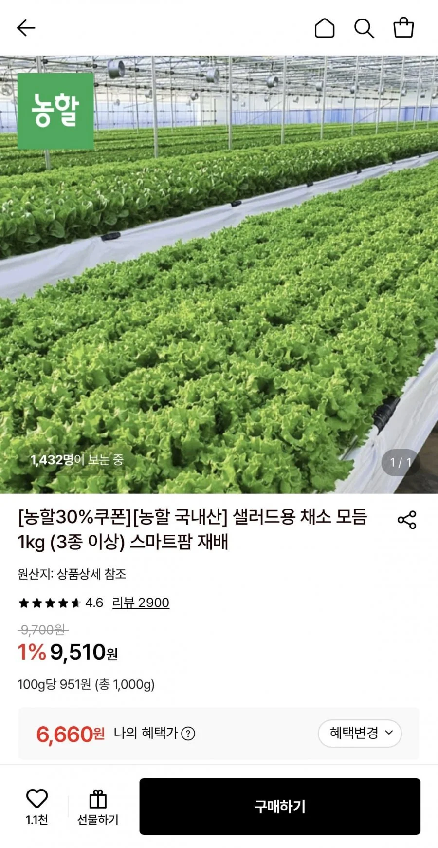 샐러드용 채소 모듬 1kg