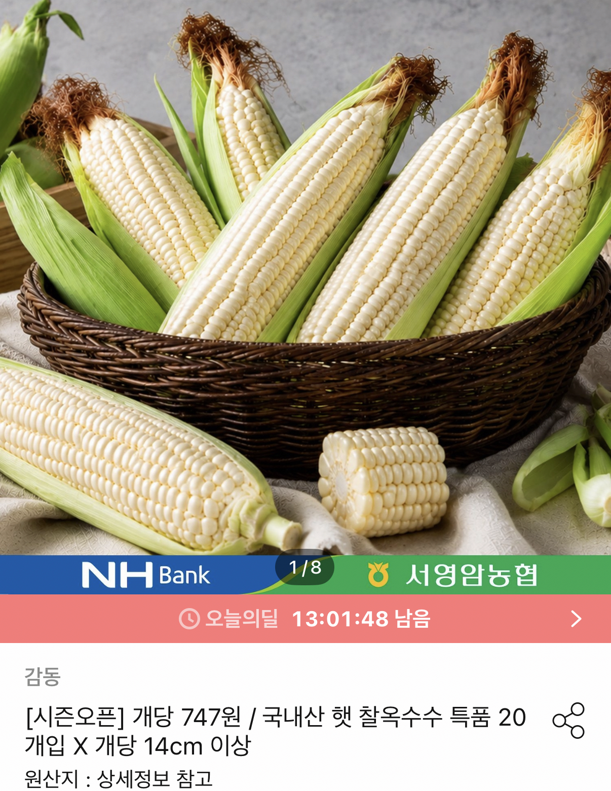 국내산 햇 찰옥수수 20개입 14cm 이상