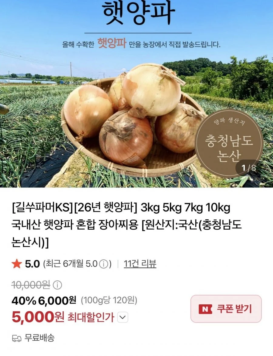 국내산 햇양파 5kg 혼합