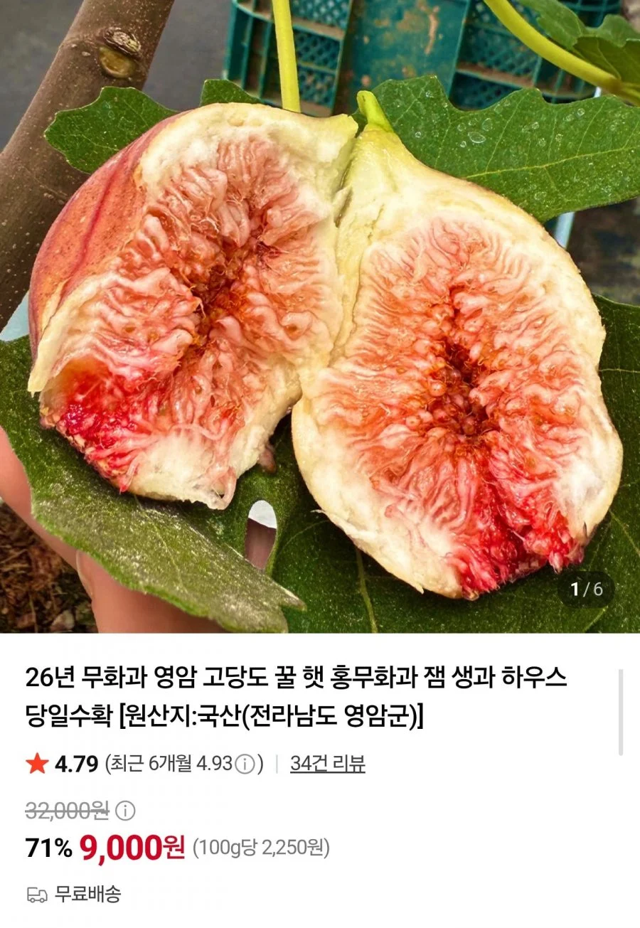 영암 무화과 400g