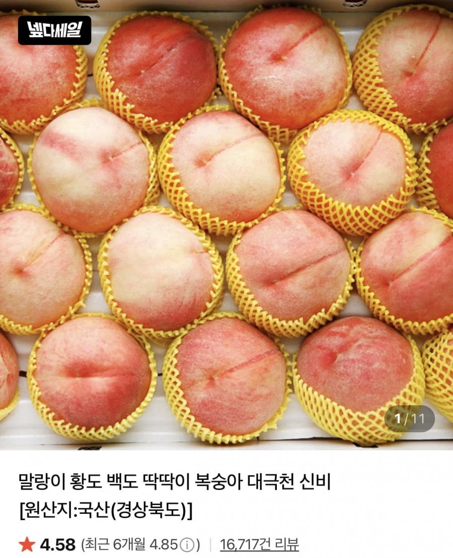 딱딱이 대극천 복숭아 1kg 로얄과