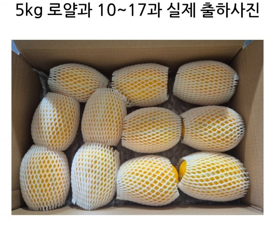 성주 꿀 참외 로얄과 5kg