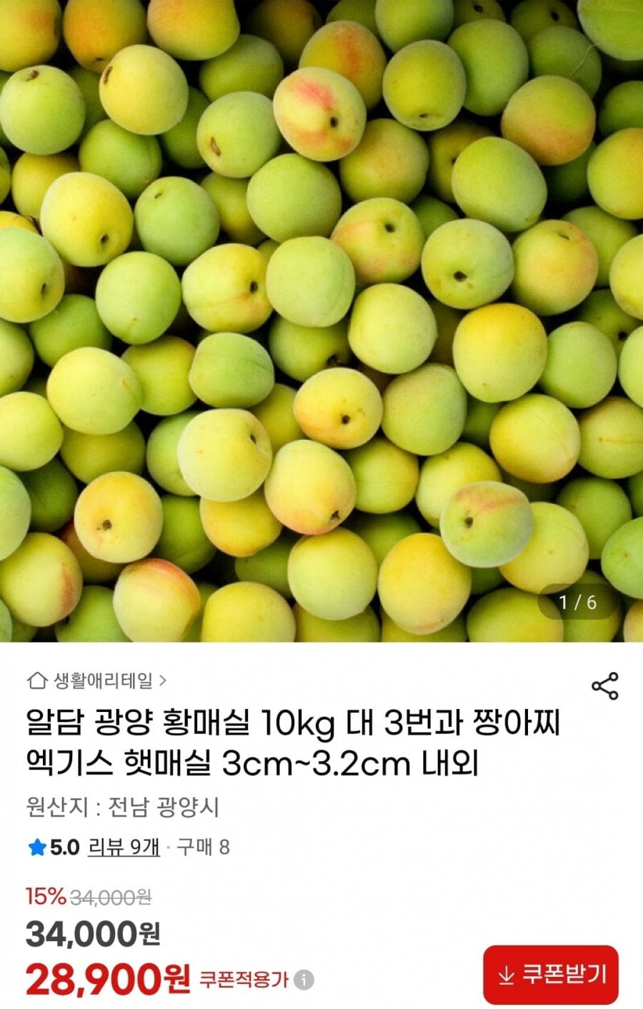 알담 광양 황매실 10kg 대 3번과
