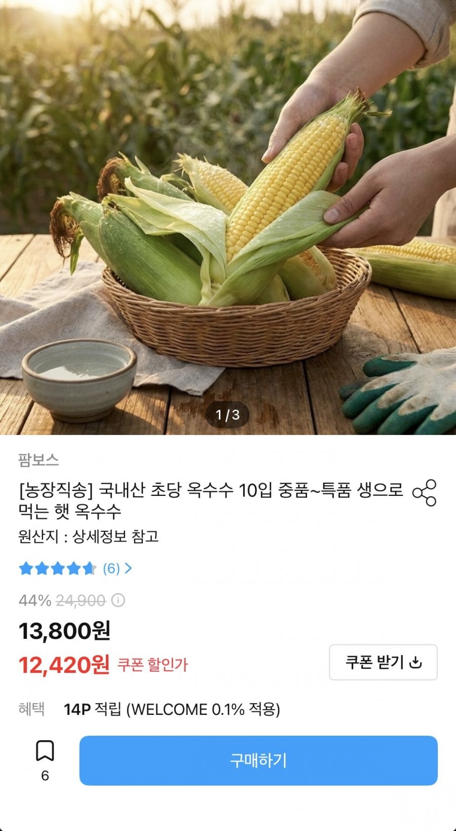 국내산 초당 옥수수 10개 중품~특품
