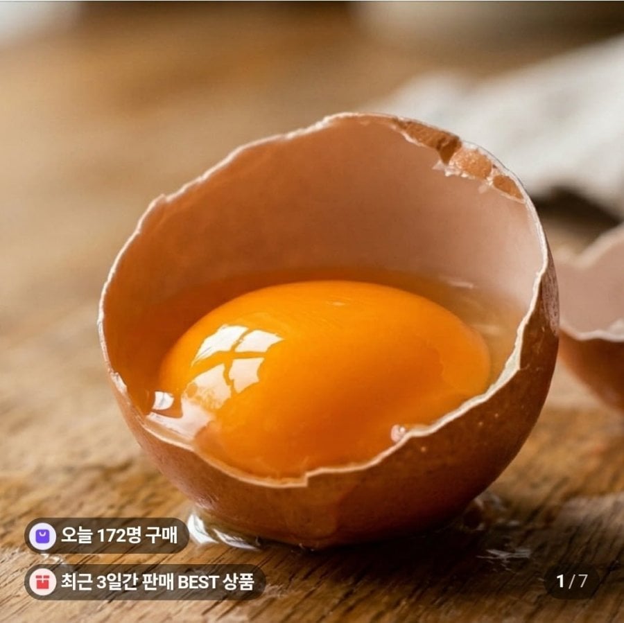 난각번호1번 유정란 계란 무항생제 달걀