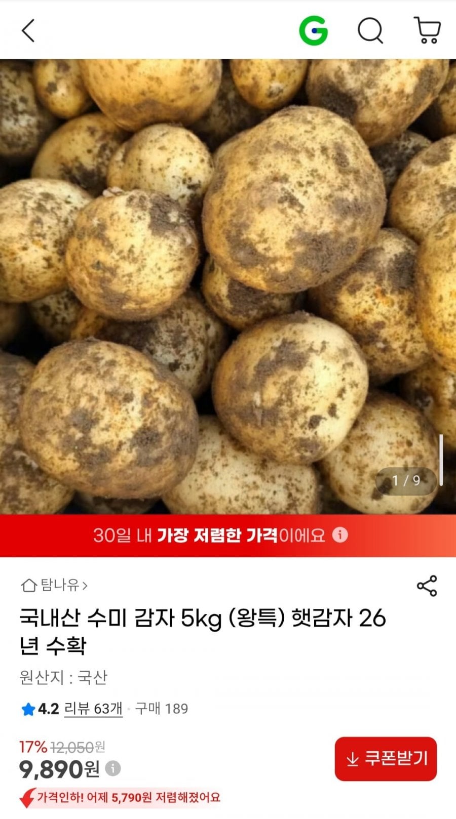 국내산 수미 감자 5kg (왕특) 햇감자 26년 수확