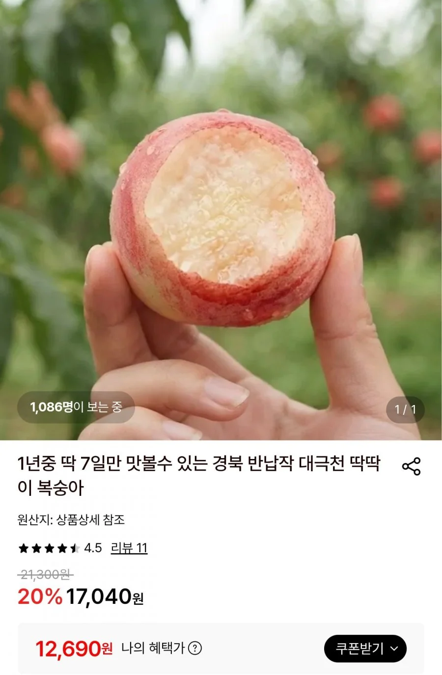 경북 반납작 대극천 딱딱이 복숭아 2kg