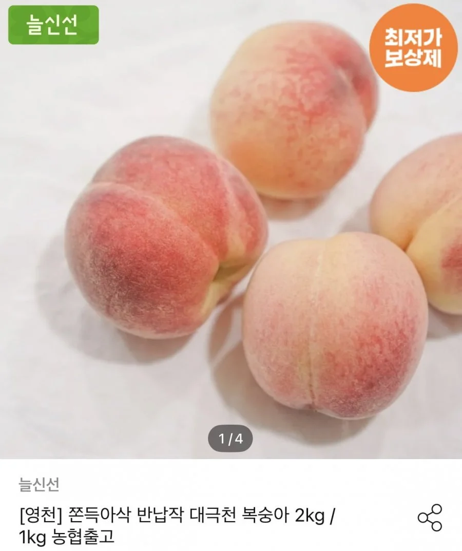 대극천복숭아 2kg