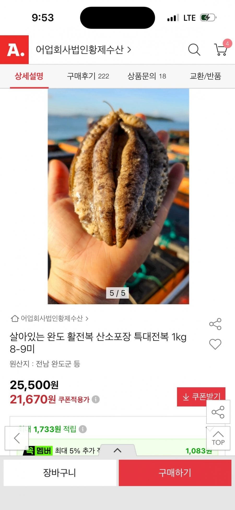 완도 활전복 왕특대전복 1kg 8-9미