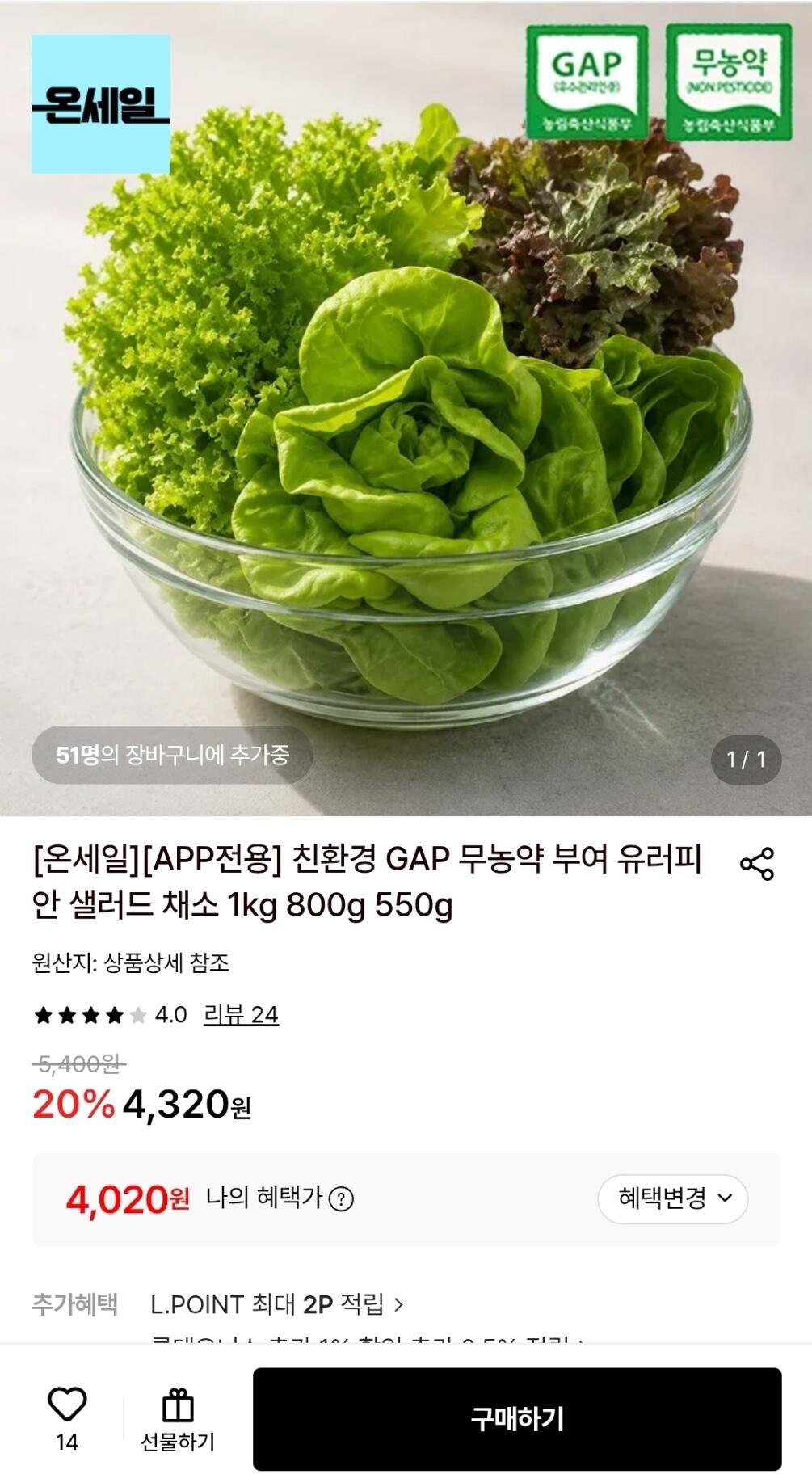 친환경 GAP 무농약 부여 유러피안 샐러드 채소 1kg 800g 550g