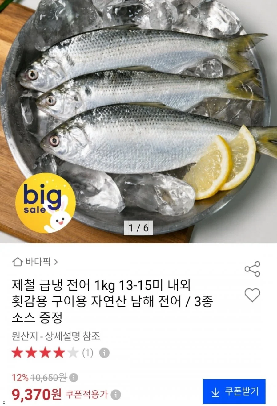 급냉 전어 1kg 13-15미