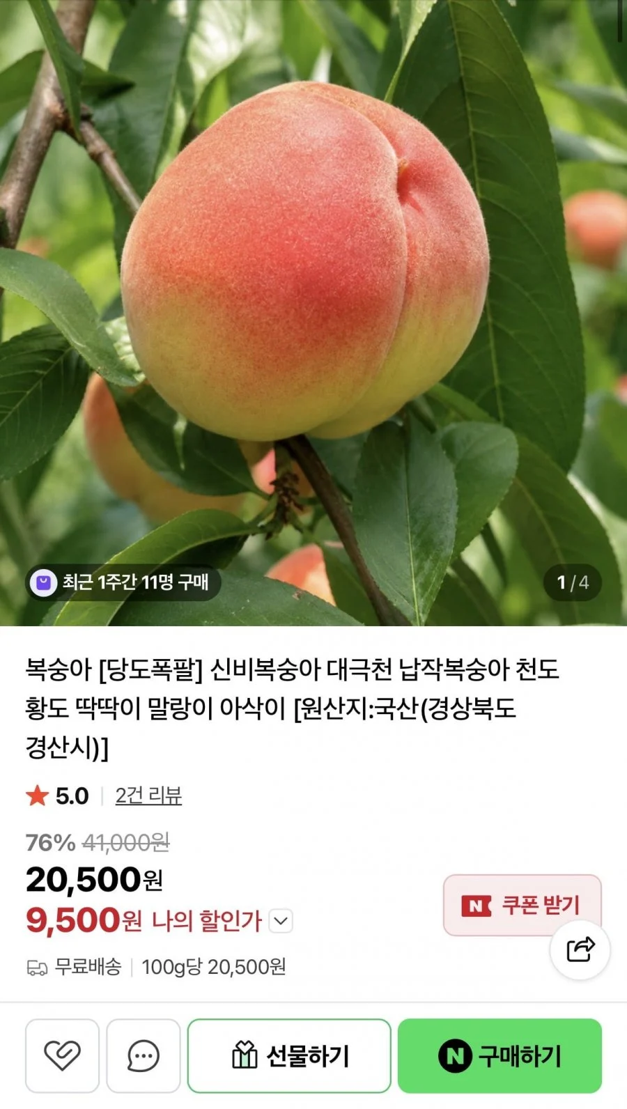 대극천 복숭아 1KG 소과