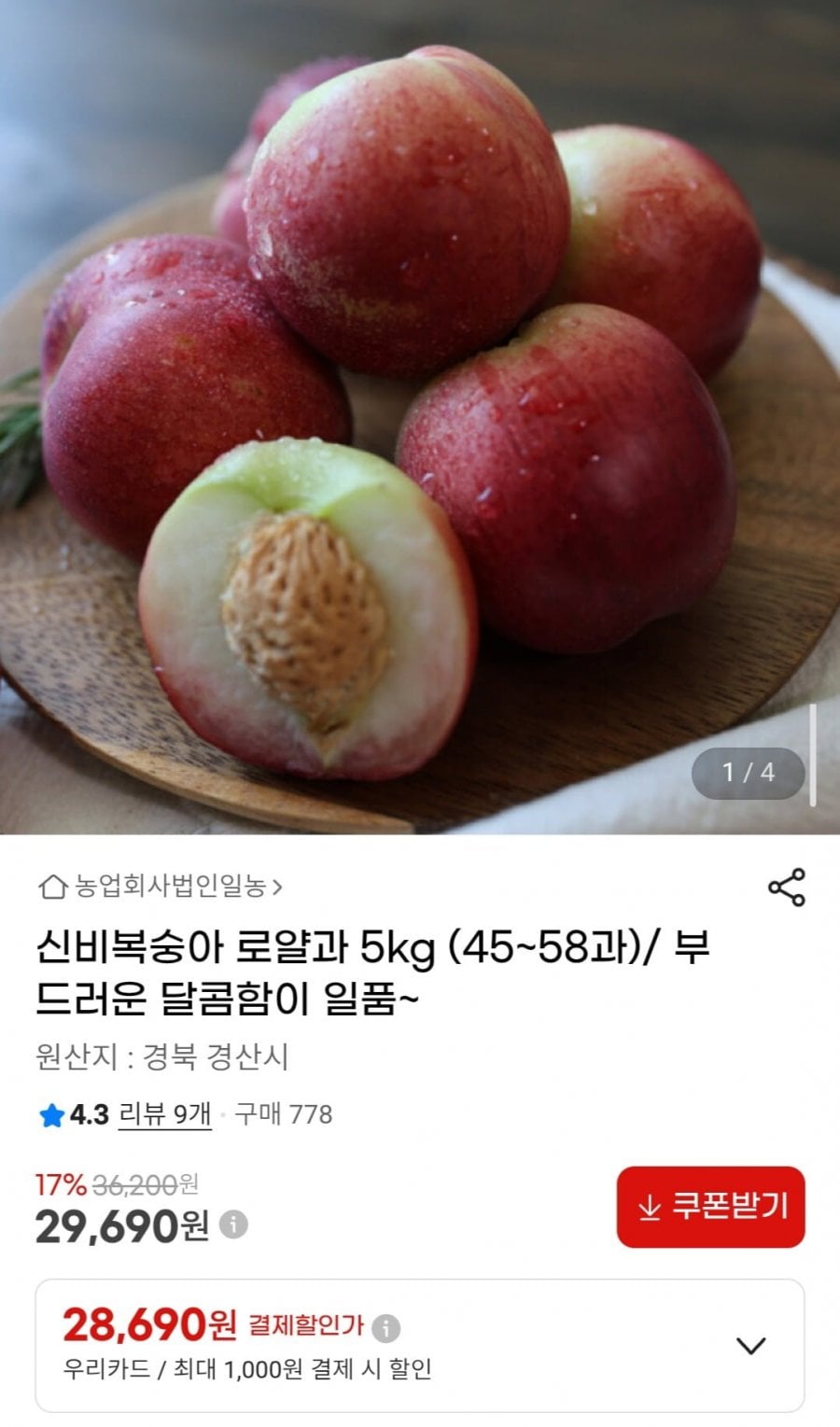 신비복숭아 로얄과 5kg (45~58과)