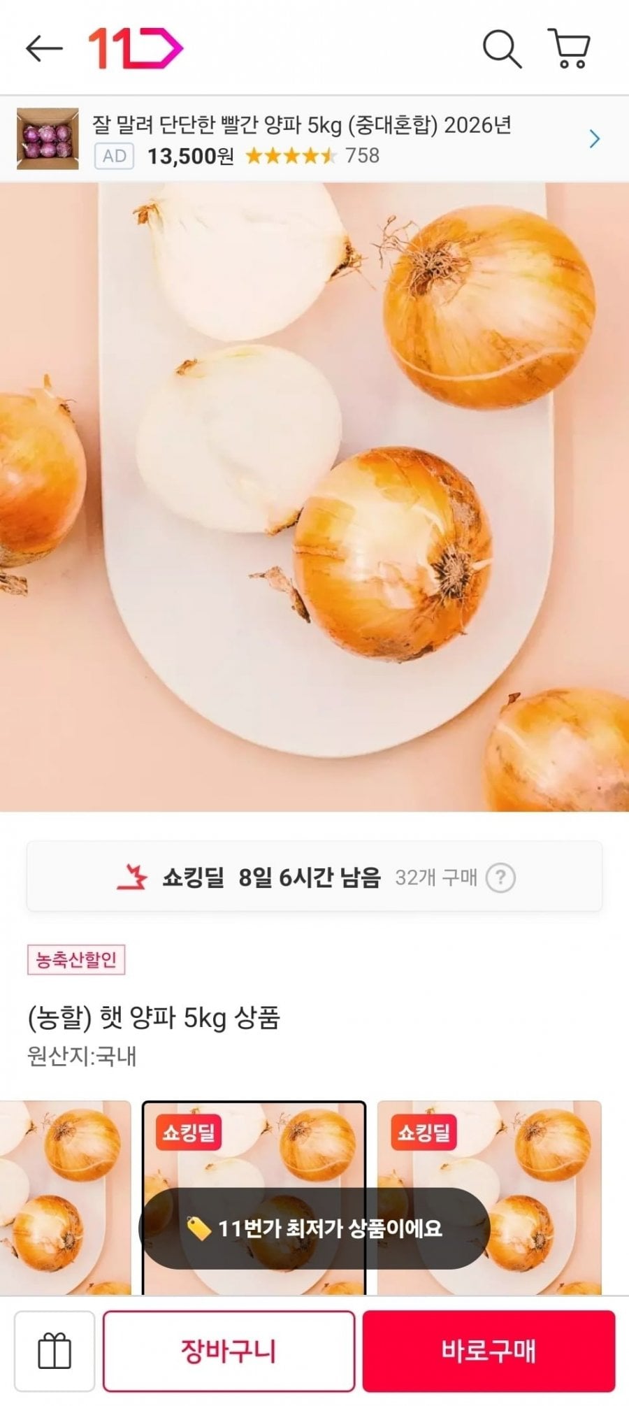 햇 양파 5kg 특상
