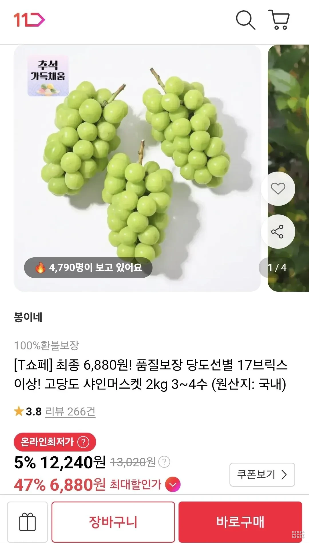 샤인머스켓 2kg 3~4수