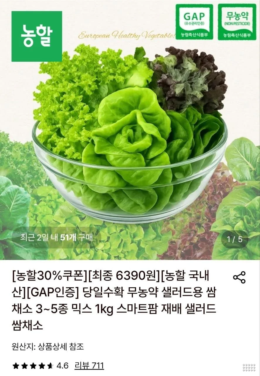 샐러드 쌈채소 1kg 3~5종 랜덤