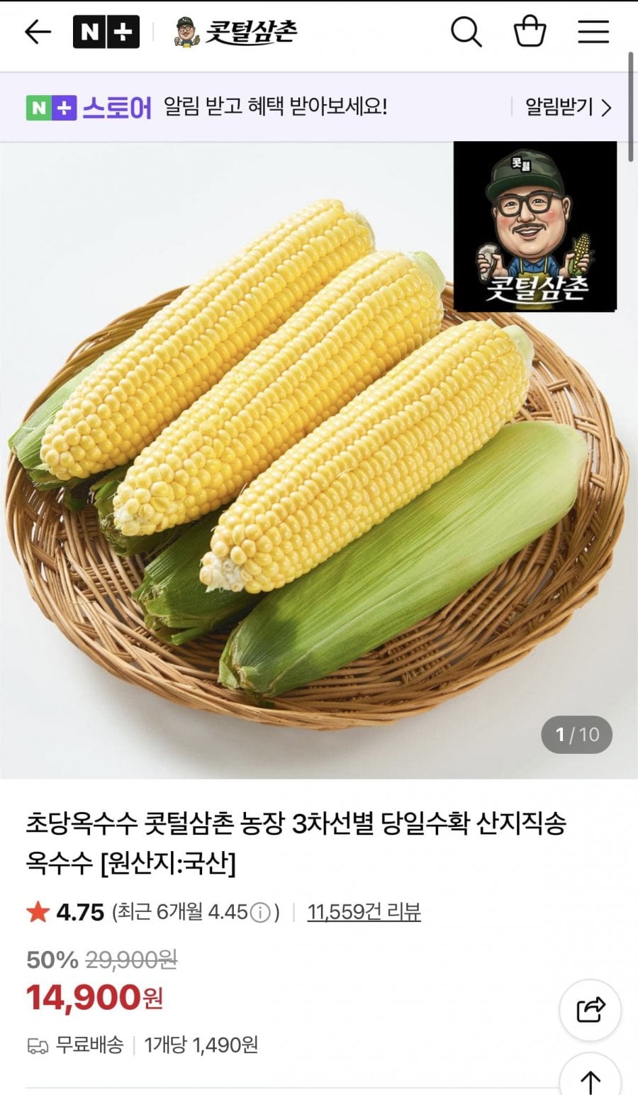 초당옥수수 10개
