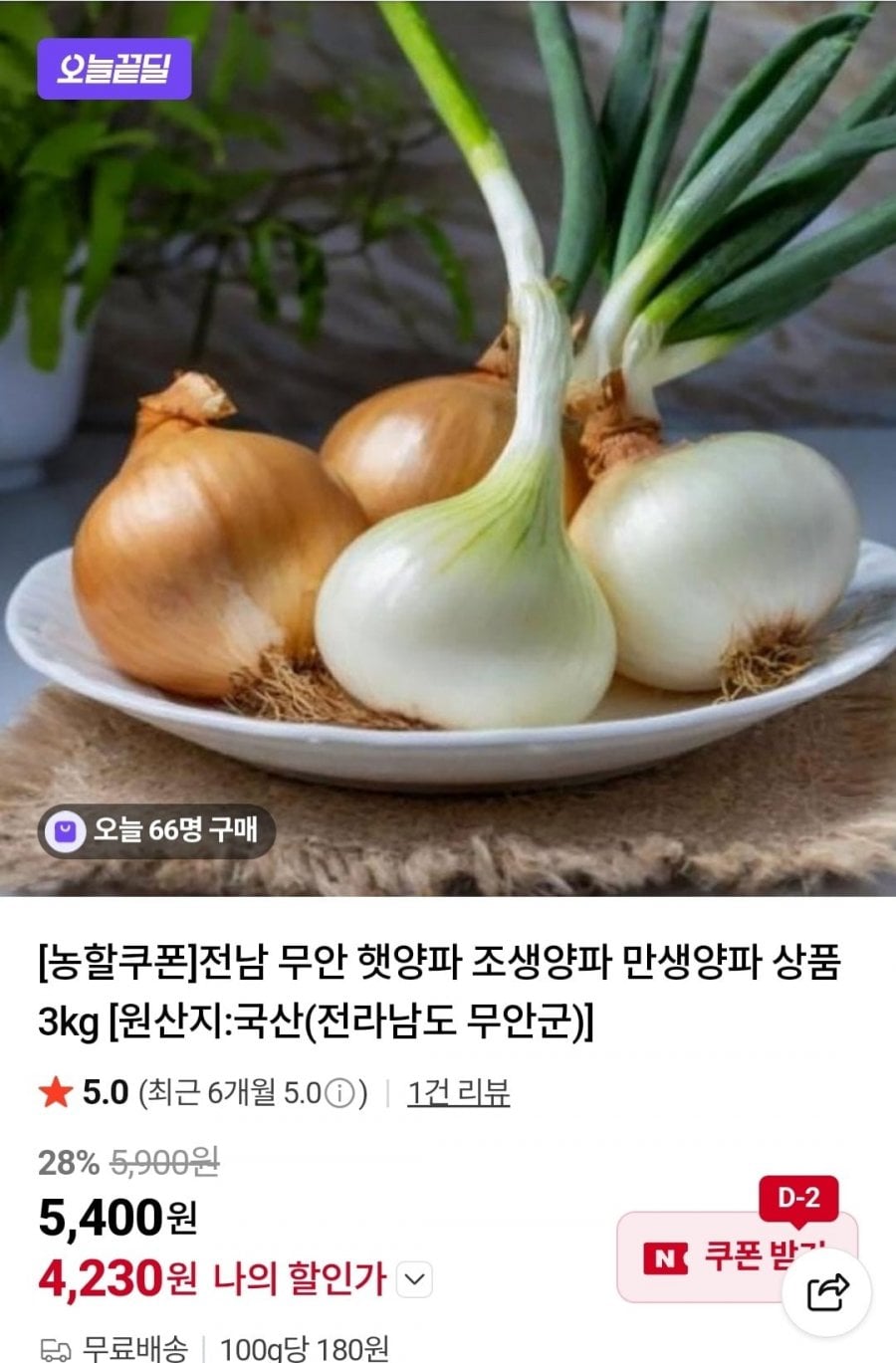 전남 무안 햇양파 조생양파 만생양파 상품 3kg