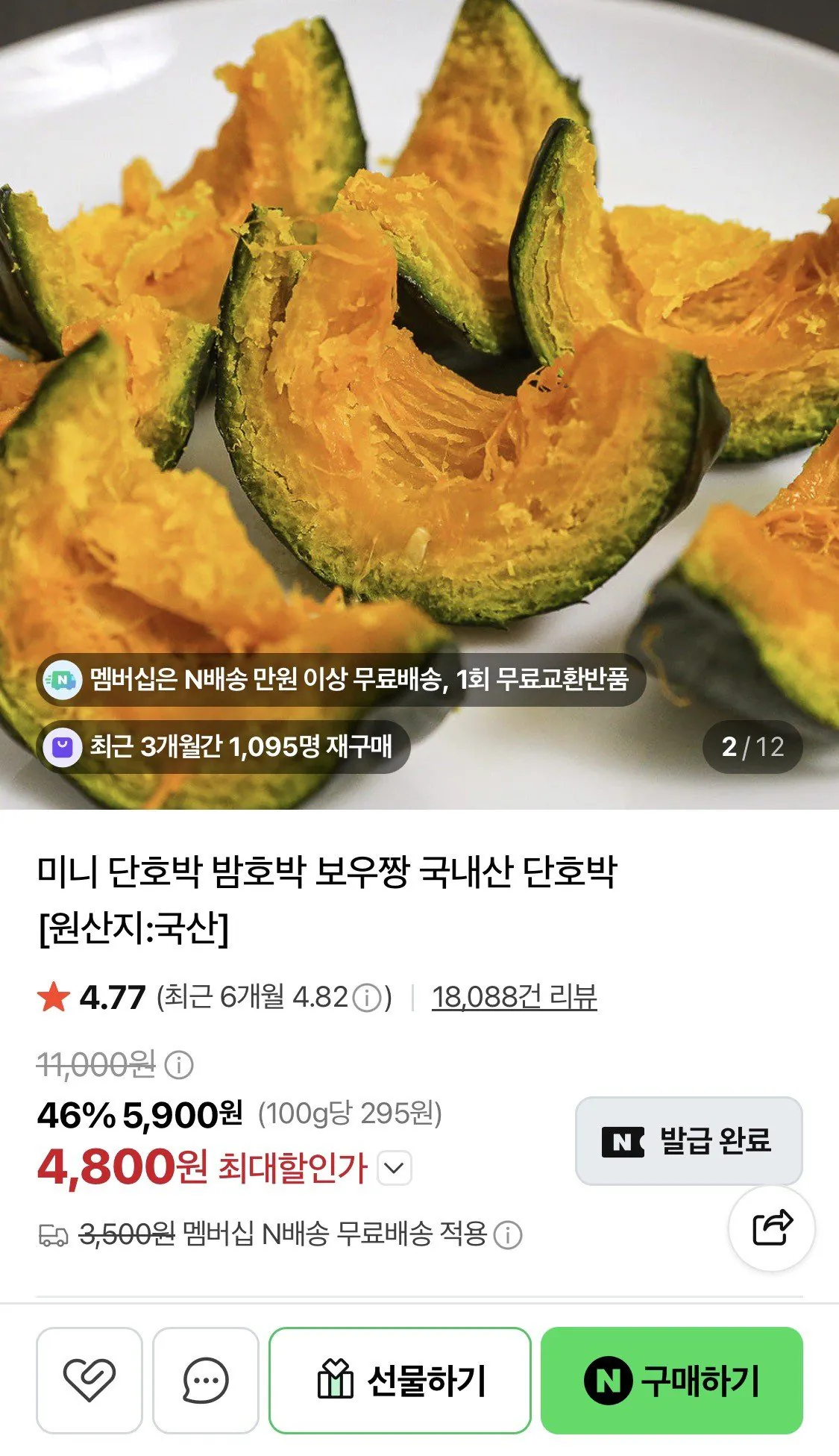 꼬마 미니 밤호박 5kg 네멤무배